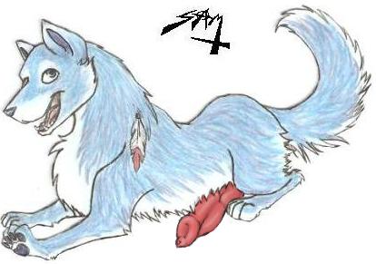 Horny husky Horny husky