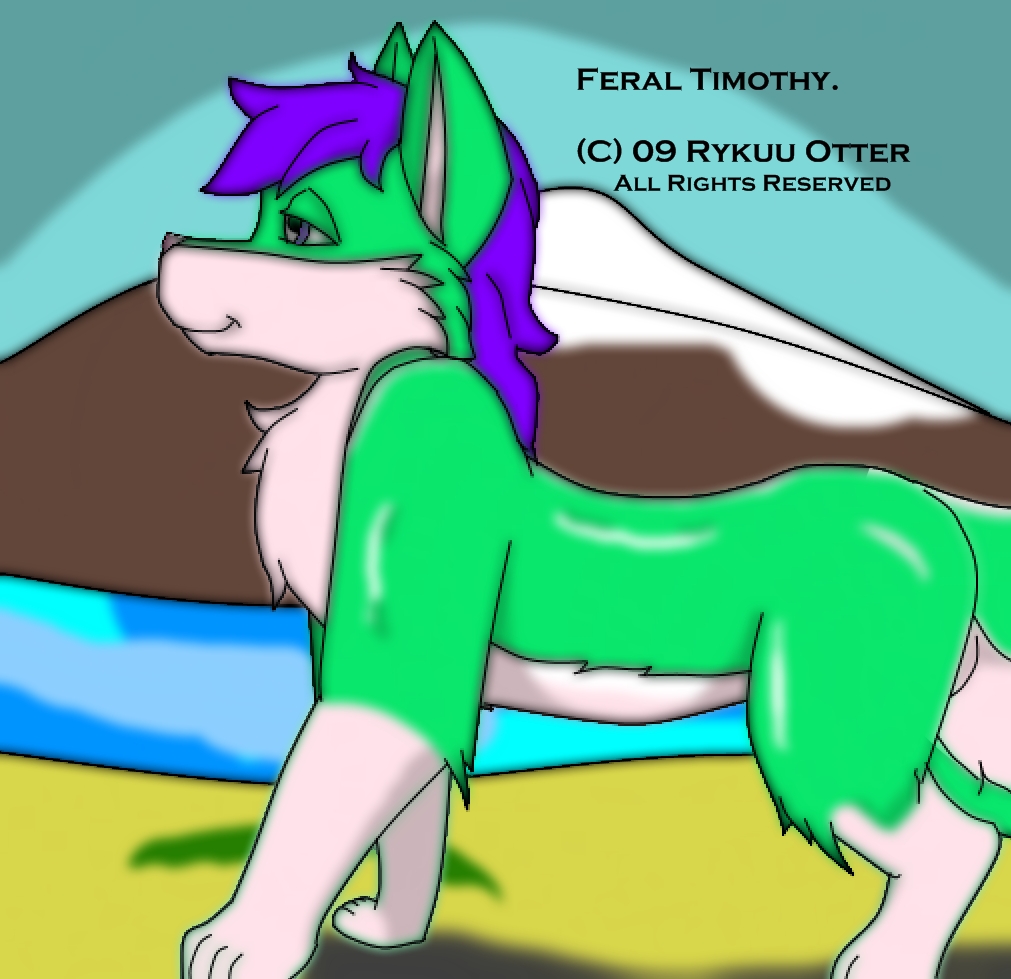 Feral Timothy