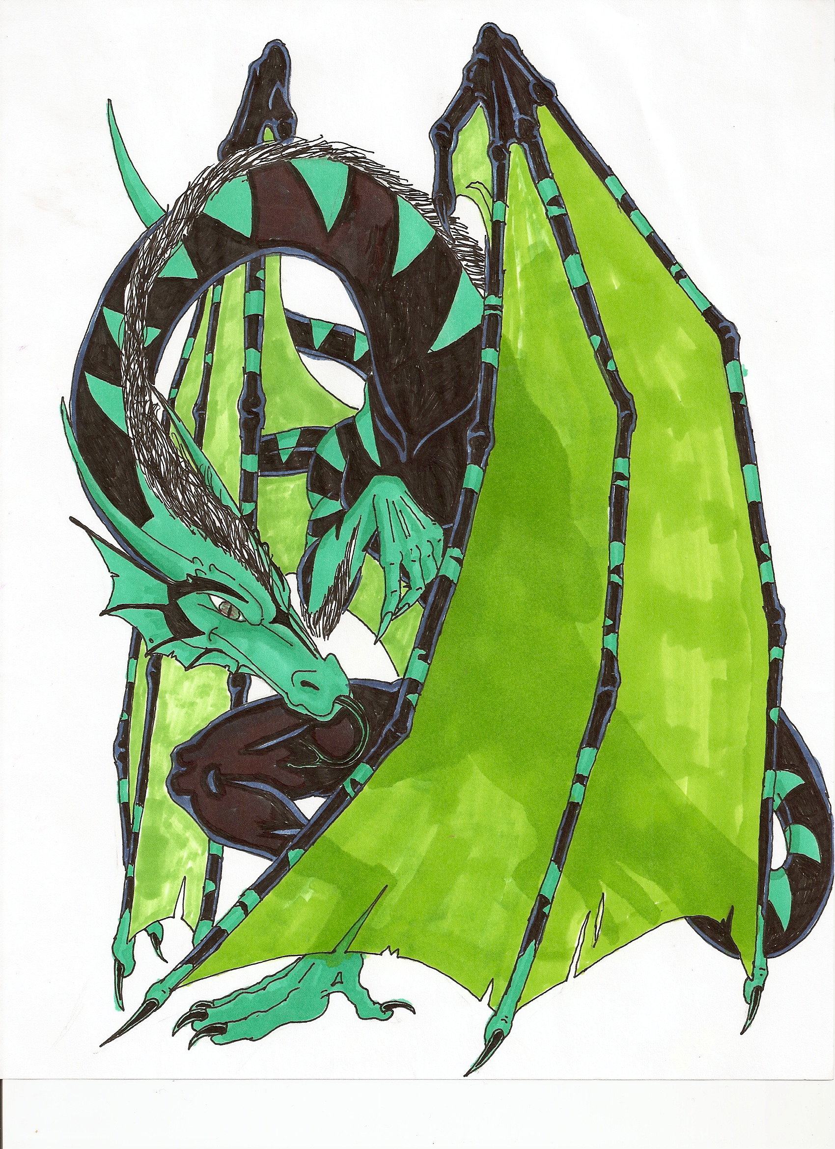 Draegon2