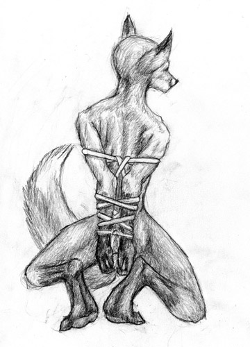 All Tied up & No Where to Go