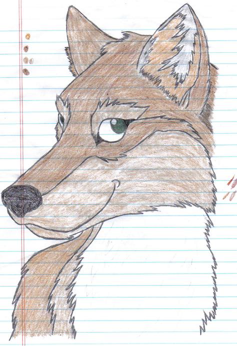 My furry wolf