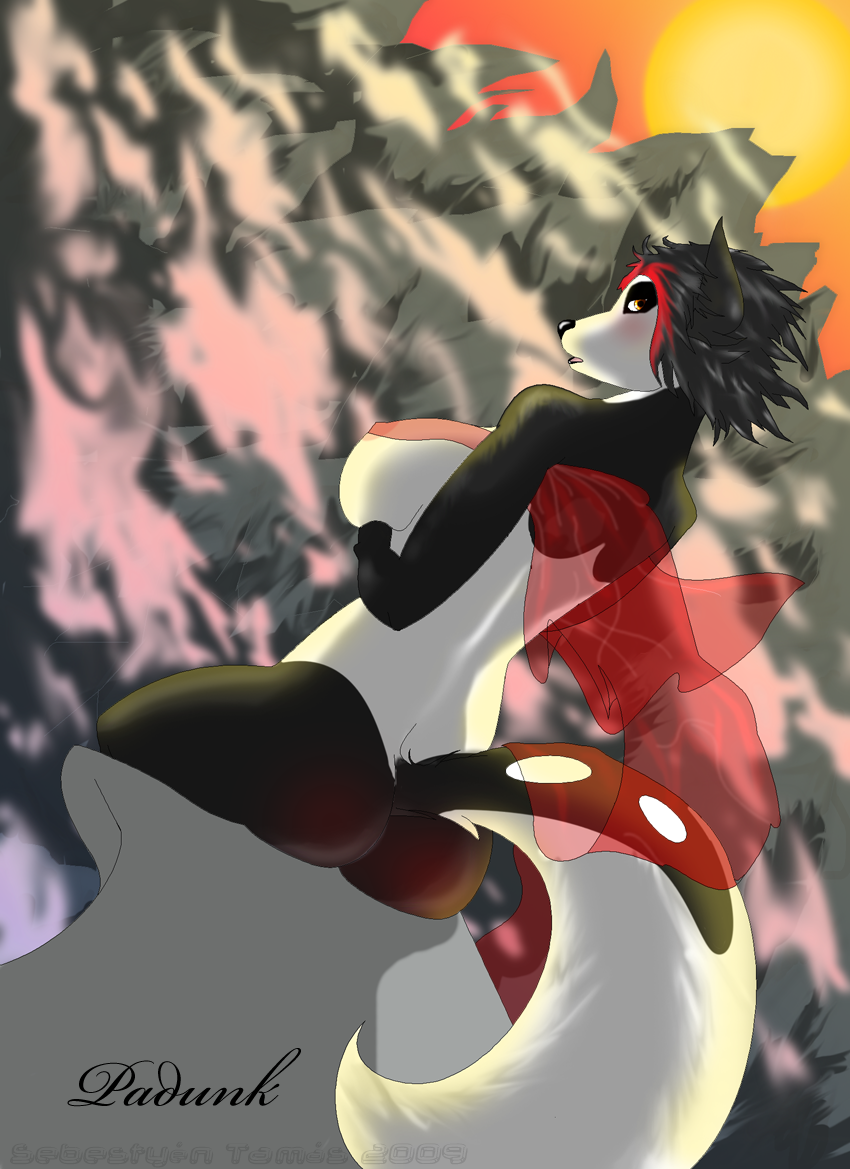 sunset_padunk