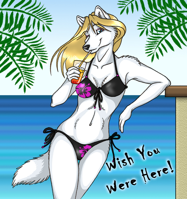 Wish You Were Here