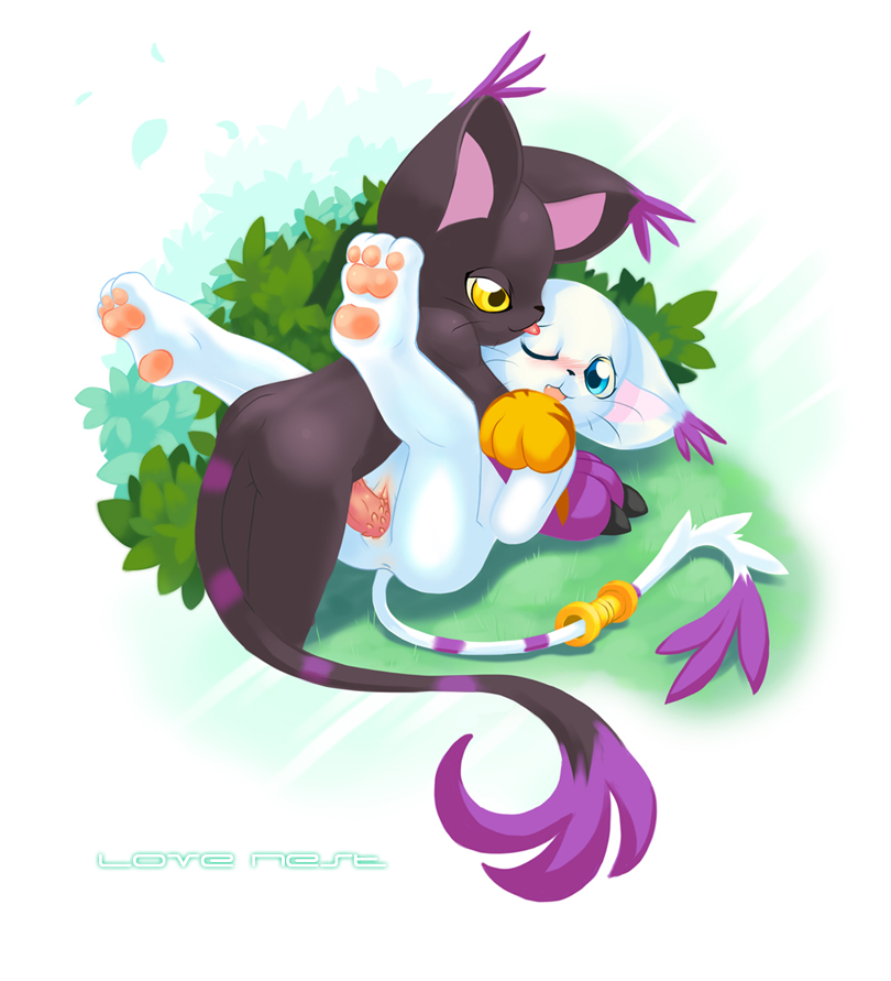 blackx gatomon