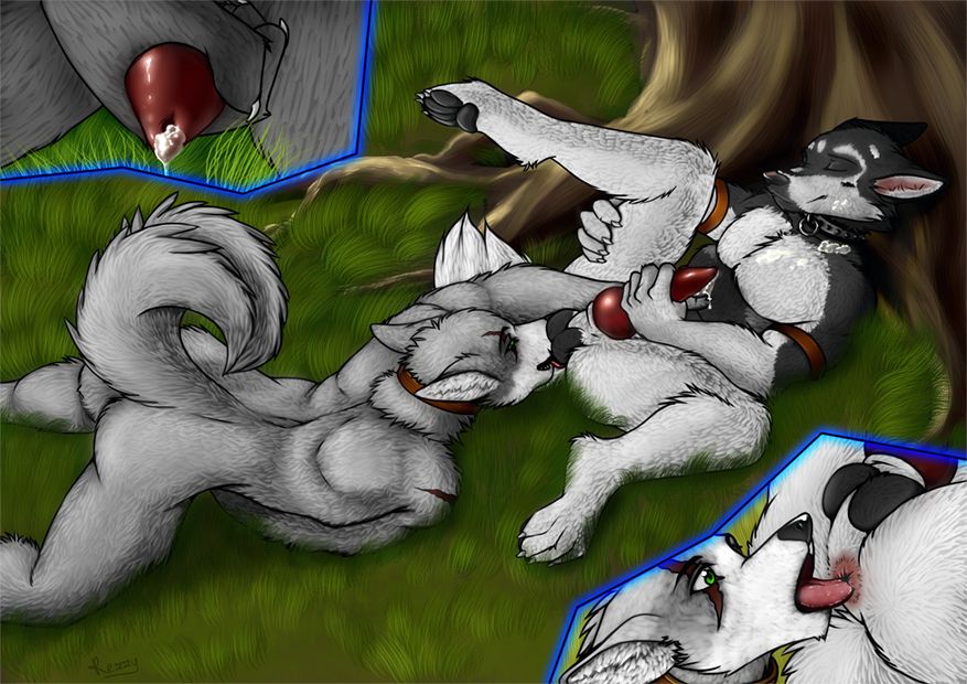 Commission for red13nanaki