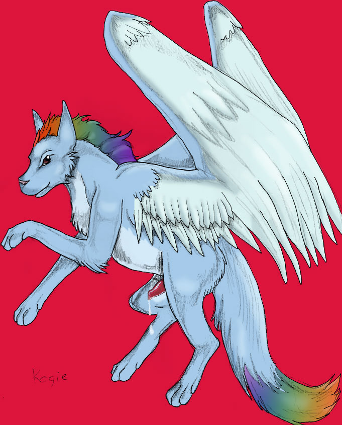 Fly high 