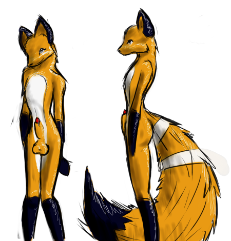 ref ref
