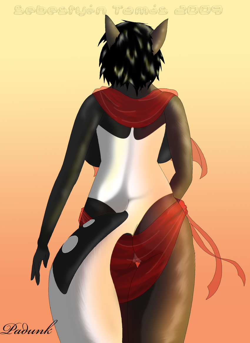 sunset_padunk2