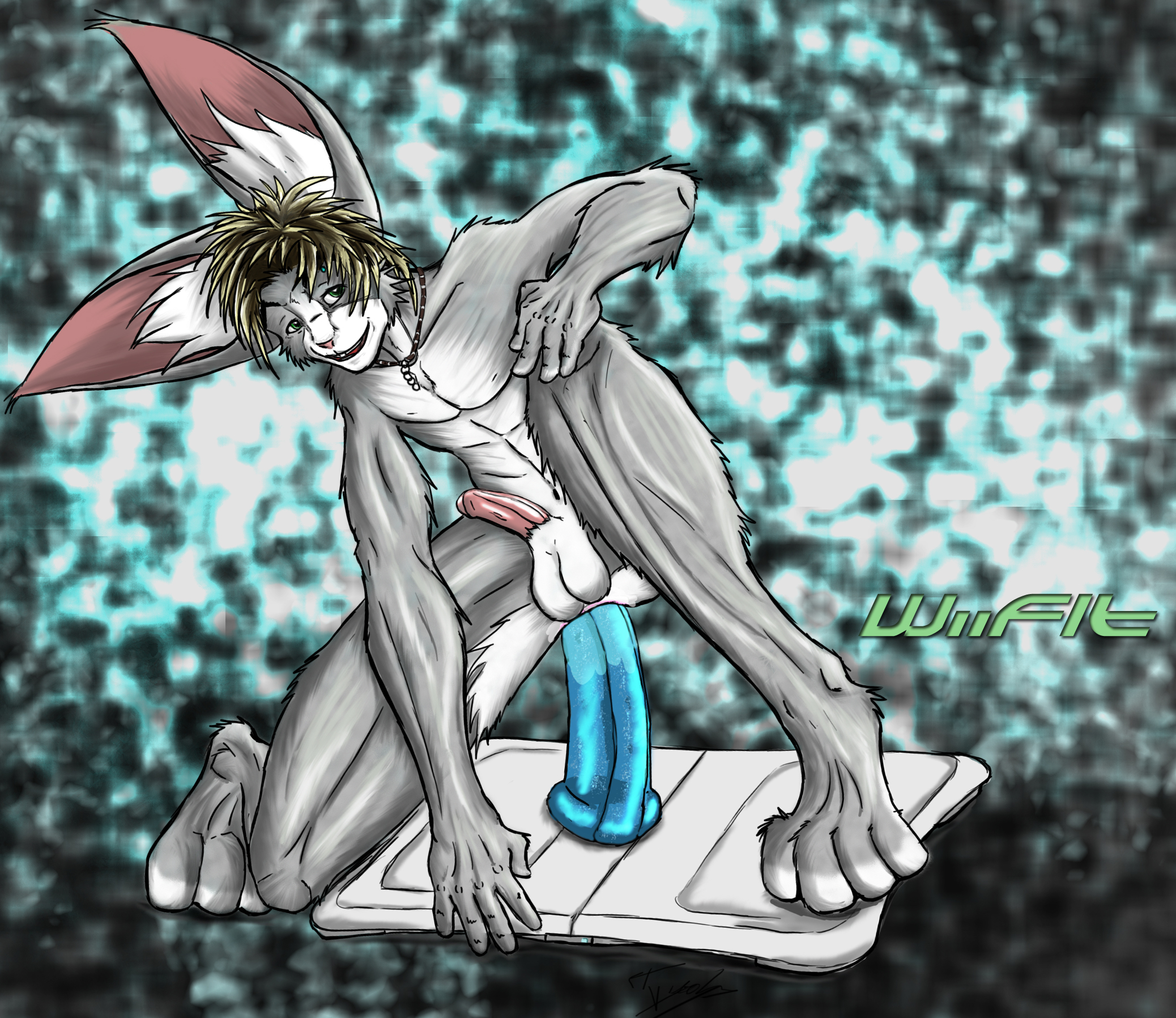 Wii Fiit