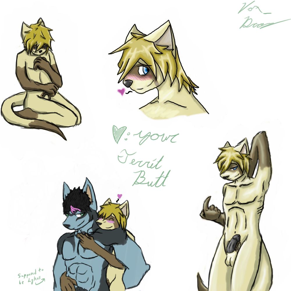 Ferrit OC