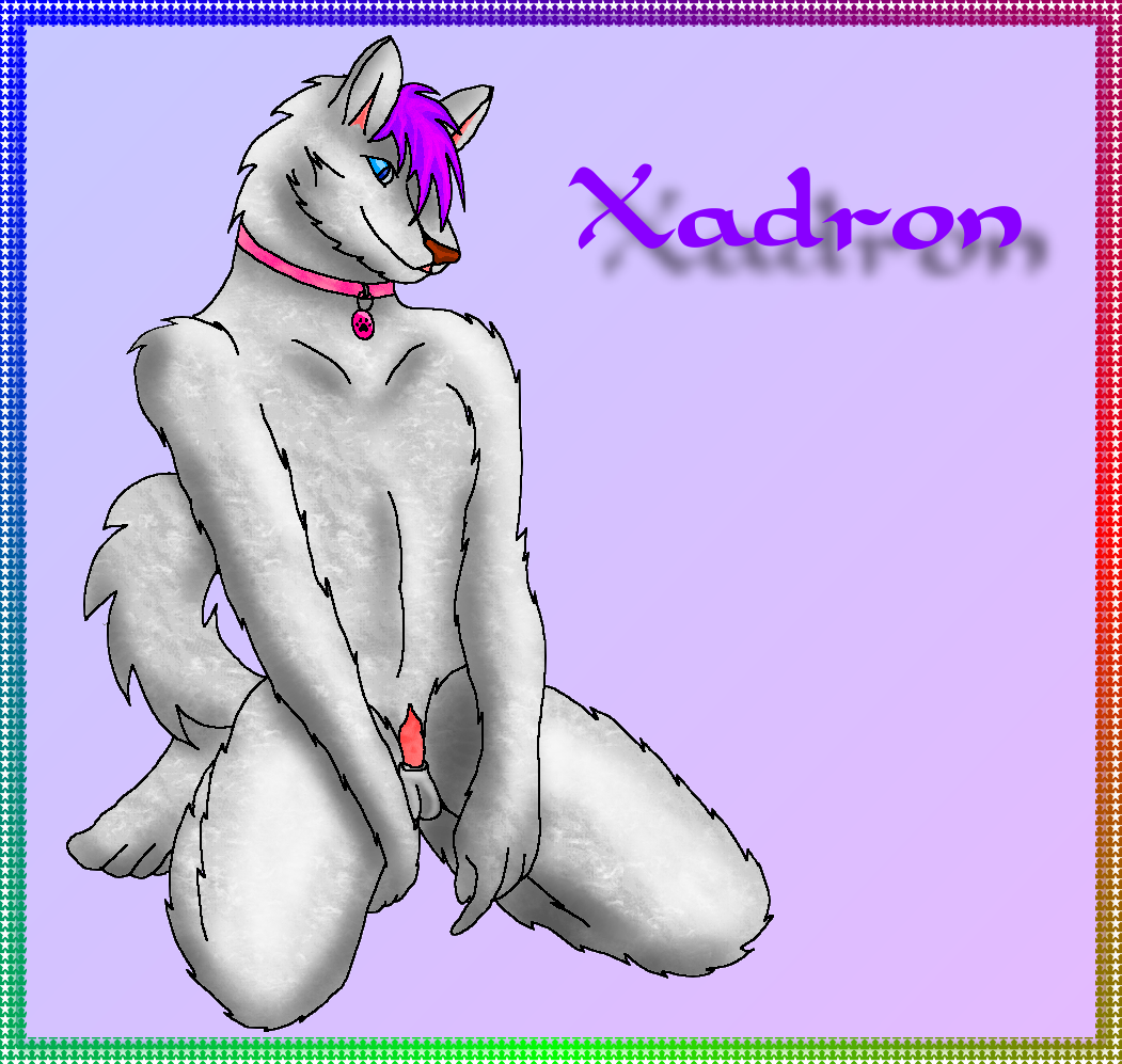 Xadron