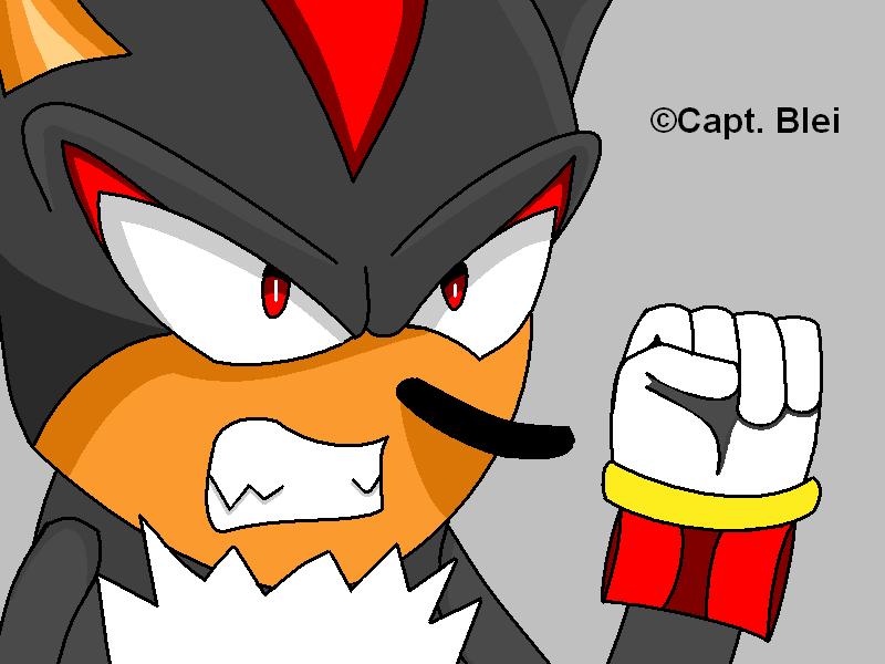 Shadow the Hedgehog (Finish)