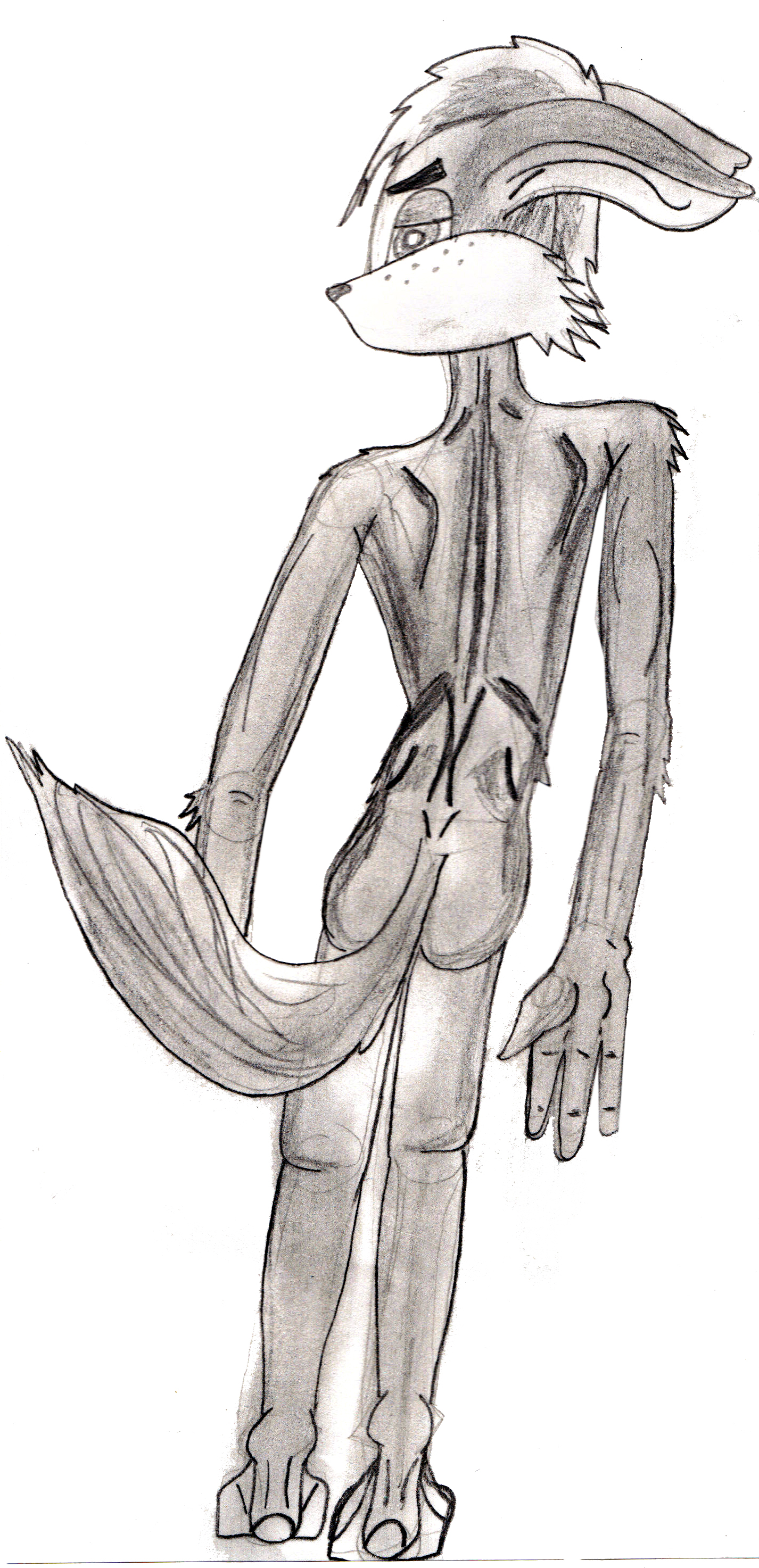 Furry_Boi