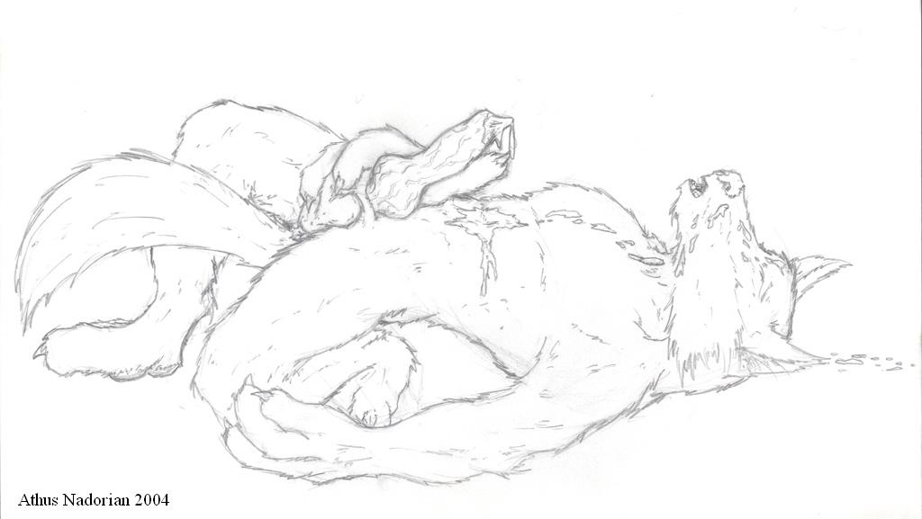 Wolf3