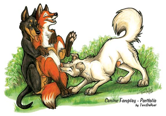 Wolf6 Wolf6