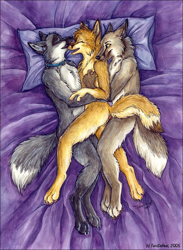 Wolf7 Wolf7