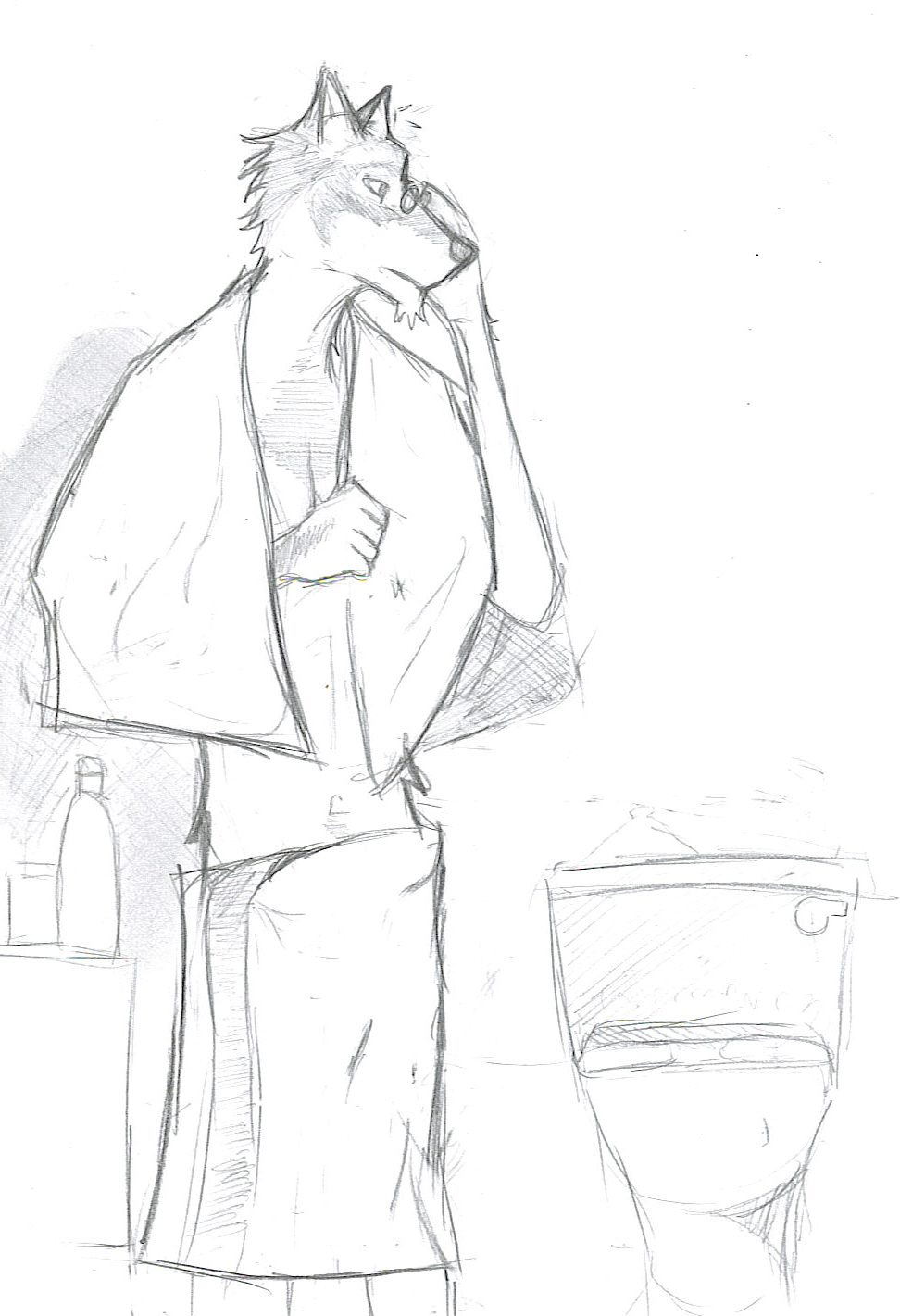 Wolf, after a bath