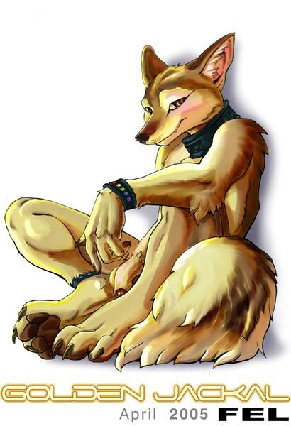 Wolf13