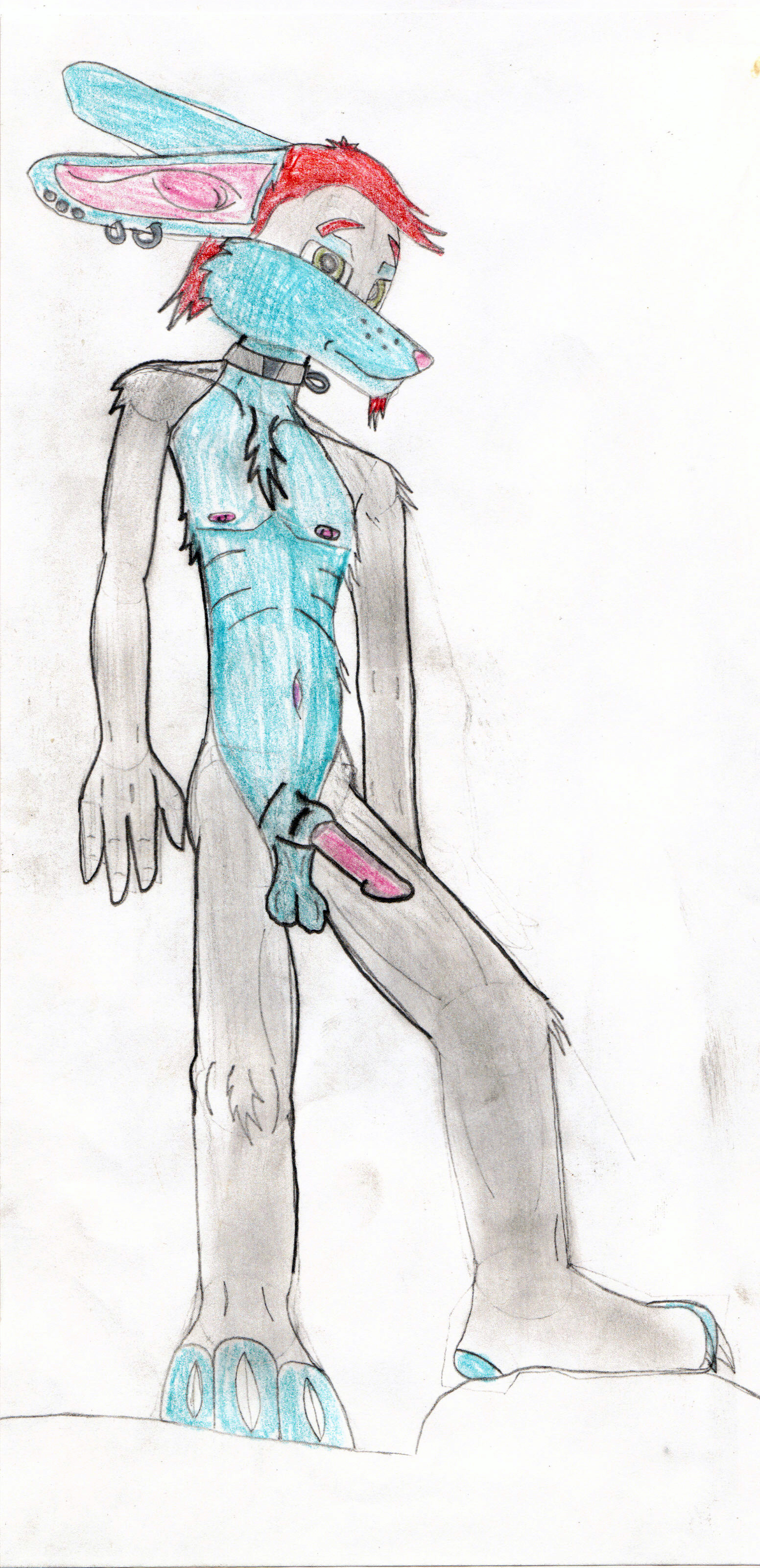 Rabbit_boi
