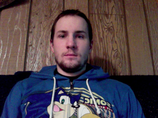 Sonic Hoodie