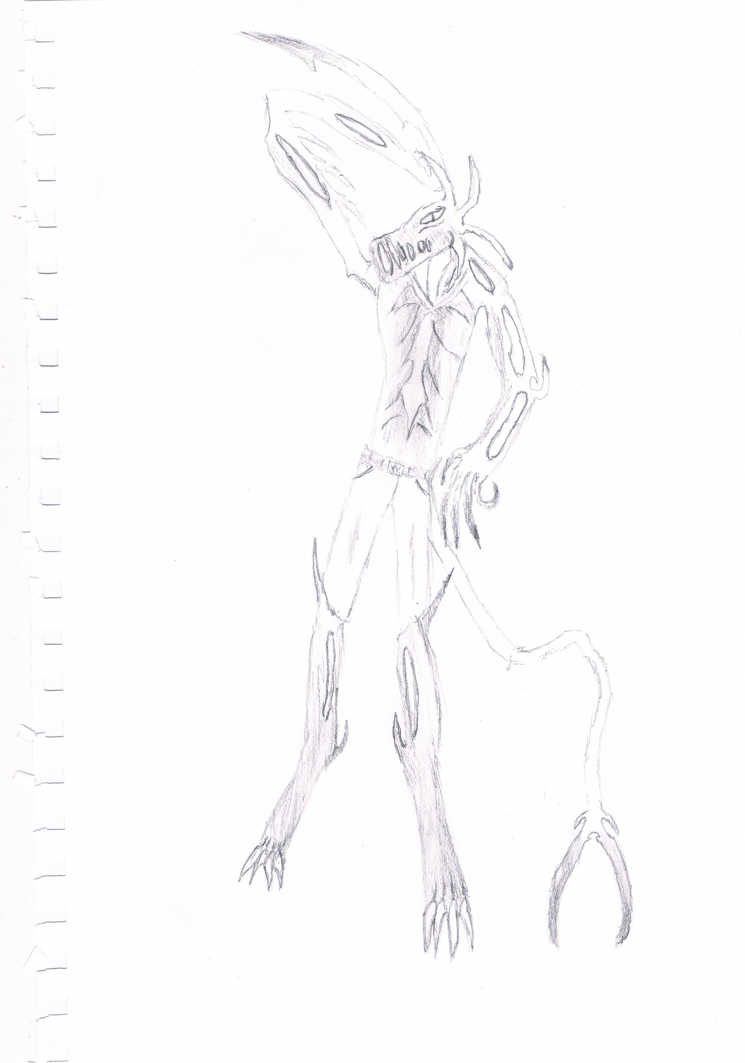 wraith
