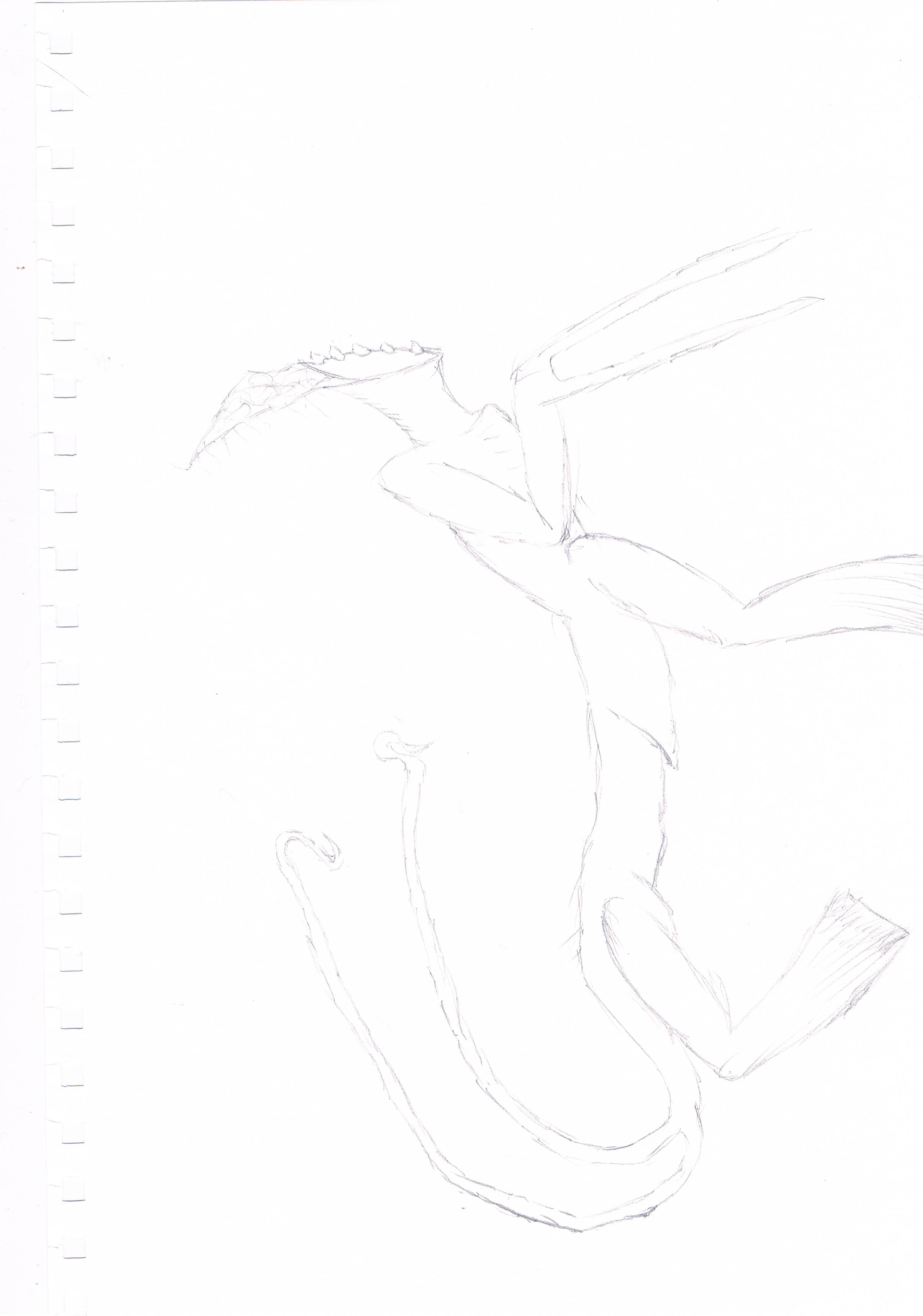 taur
