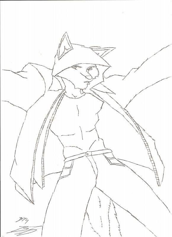 furry 4