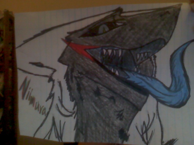 Niimura-Sergal-2
