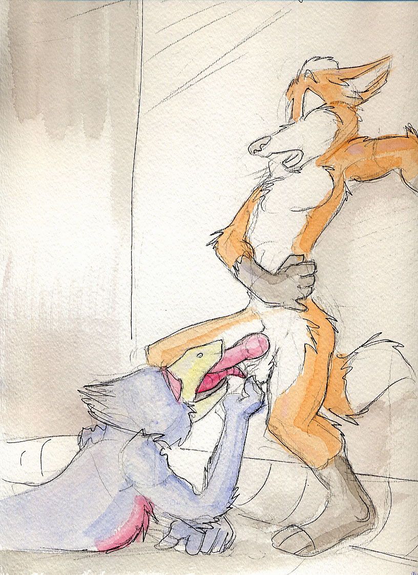 fox and falco