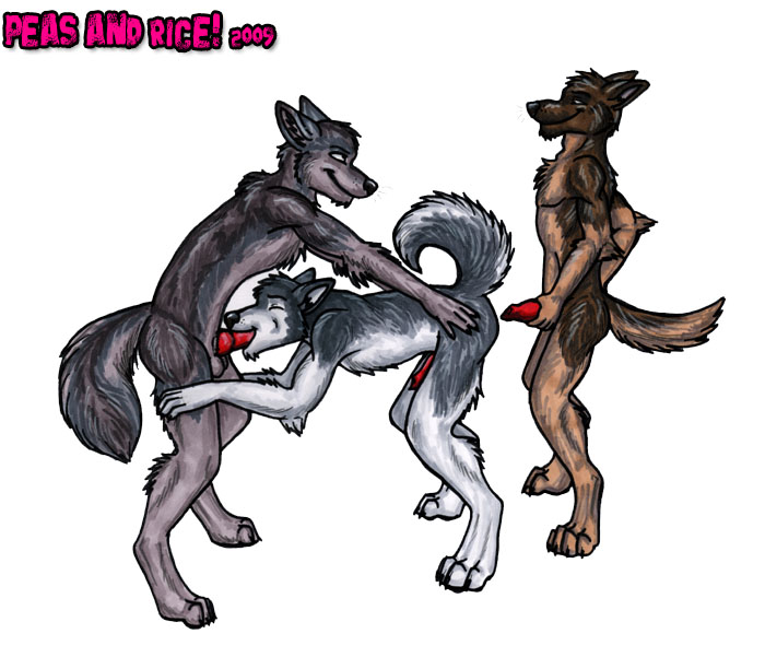 3 Dog Night 3 Dog Night