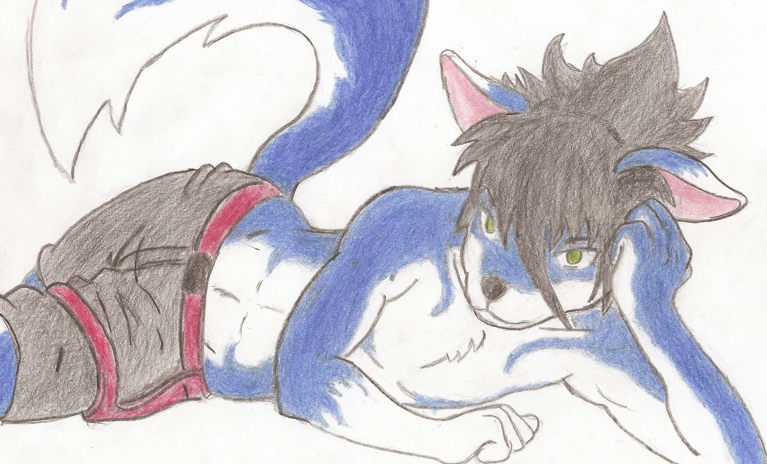 Nya avi