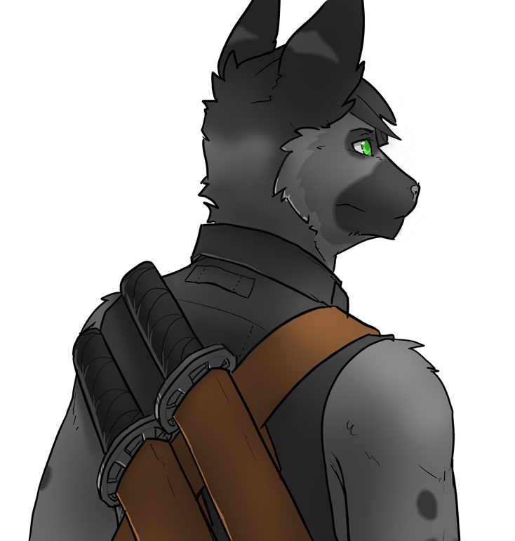 Ringtailmaster