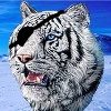second one