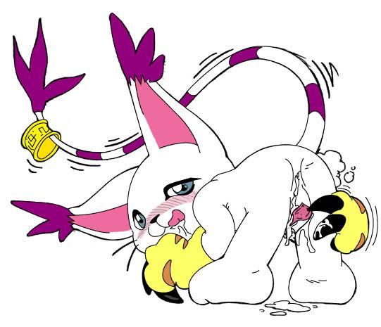 gatomon yiffy