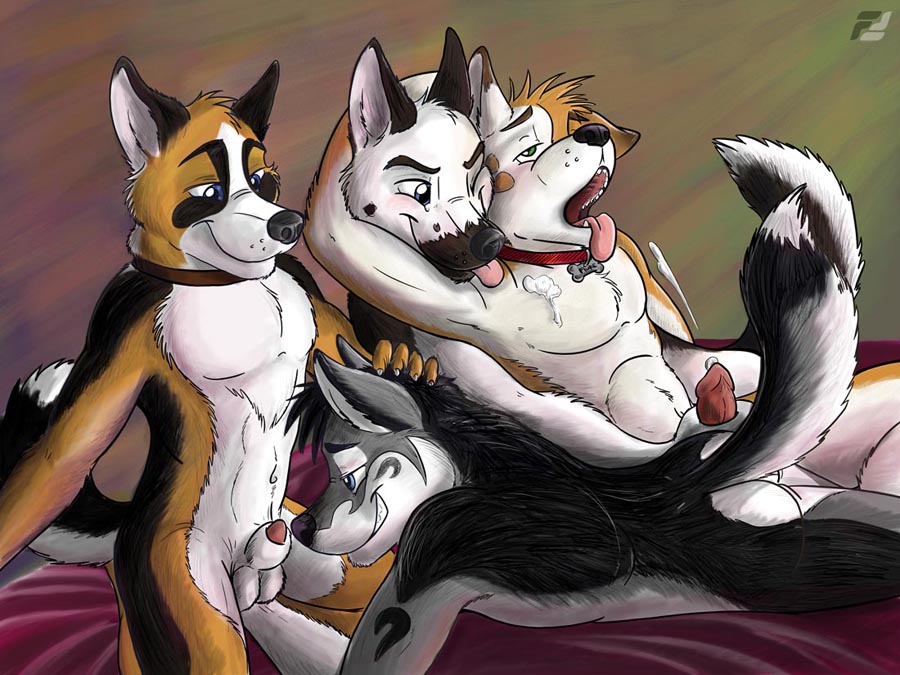 Dog 4 some Dog 4 some