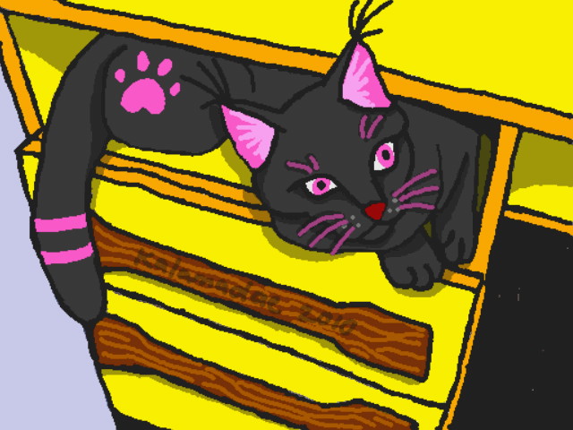 KItty in the Desk