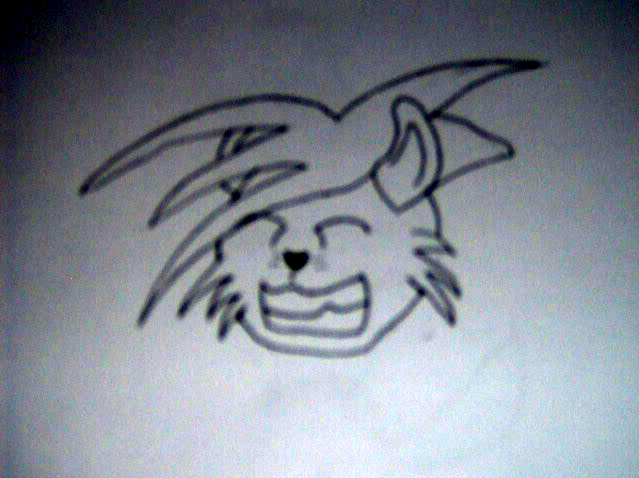 happy cat