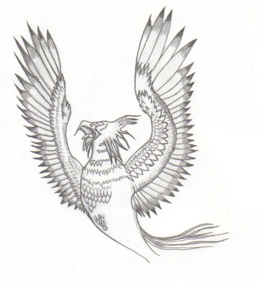Phoenix W.I.P.
