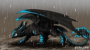 Night Fury In The Rain