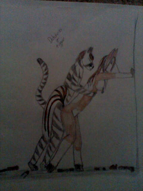 Tiger and dutchess