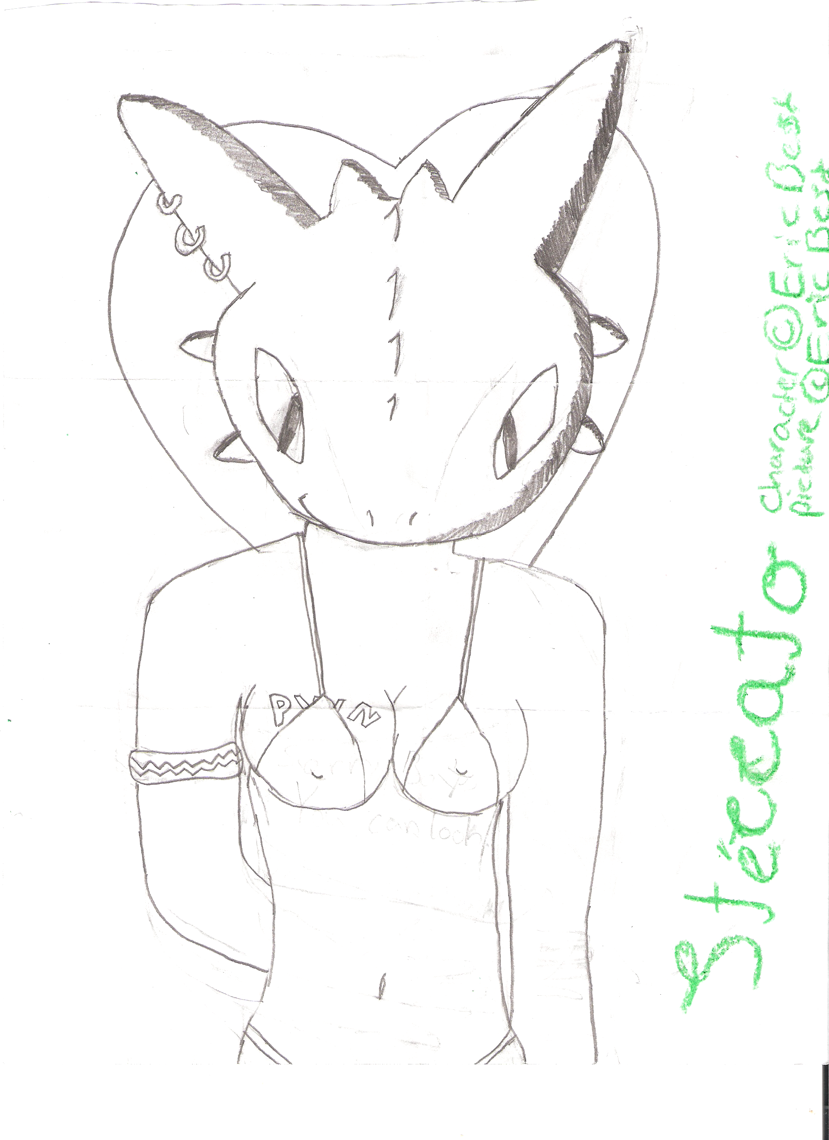 I learned to draw better.