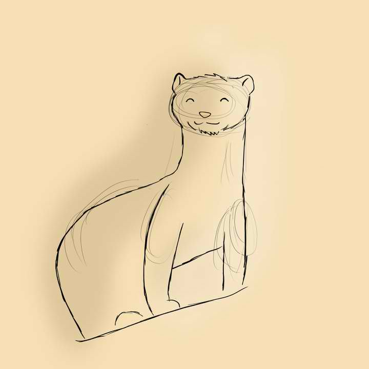 Kristina's Ferret!