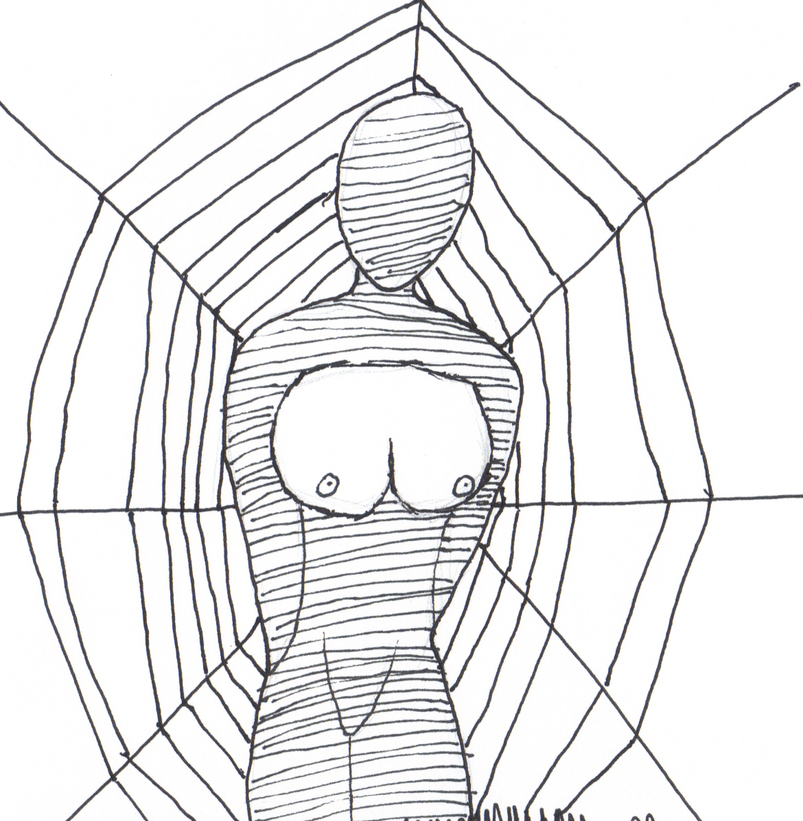 spider wed