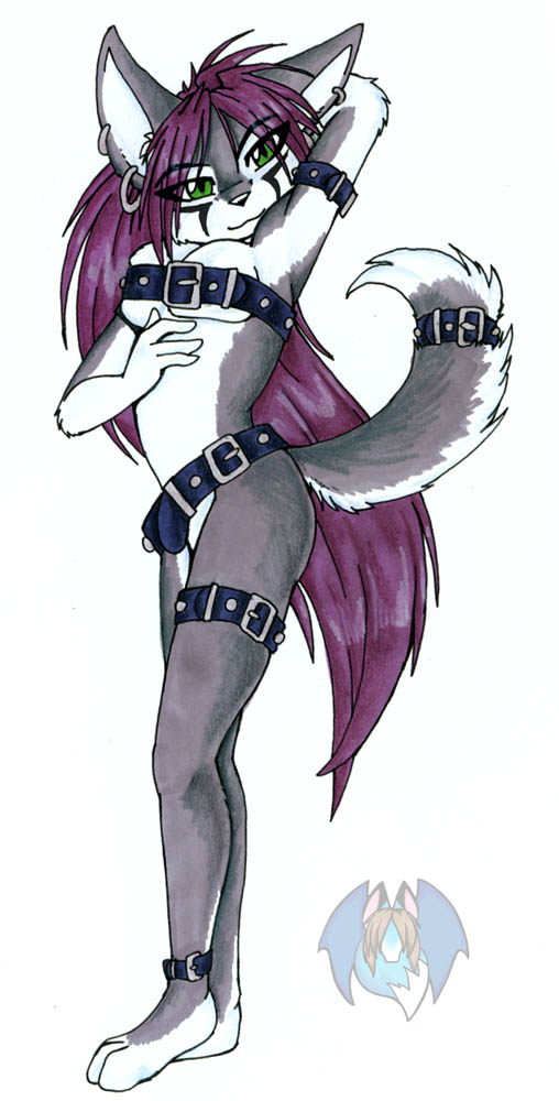 Wolf in Belts Wolf in Belts
