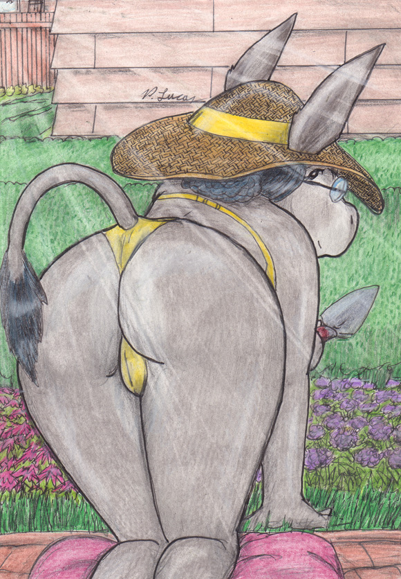 Gardening With Mrs. Donkey