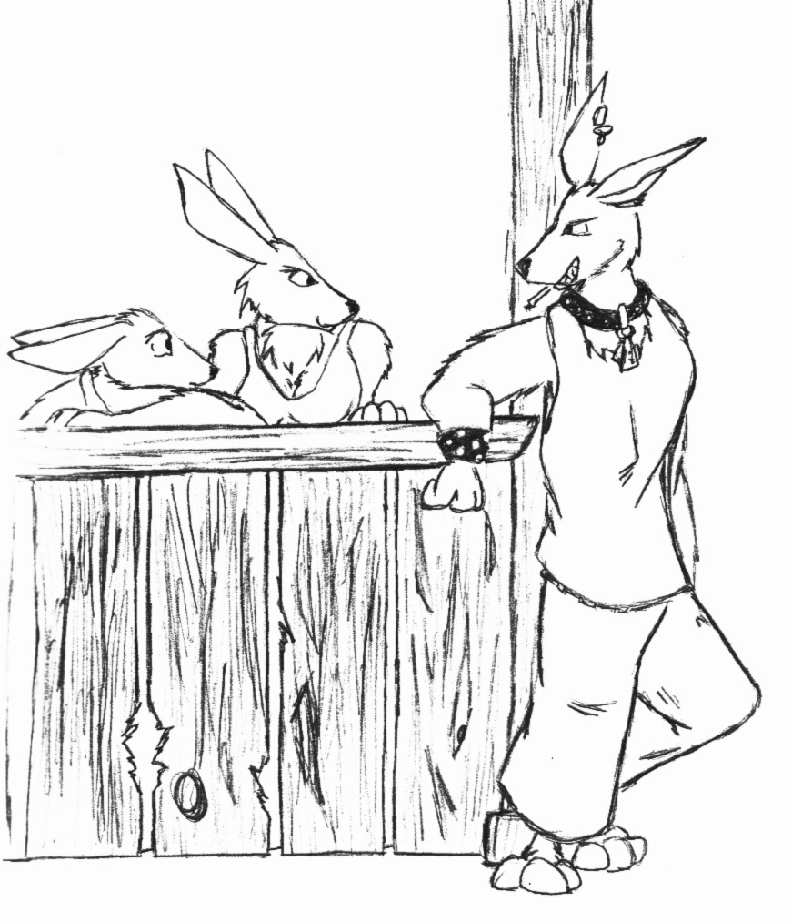 bunnies