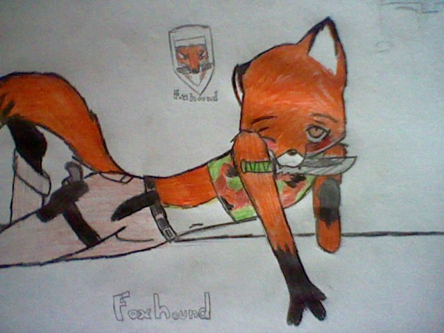 FOXHOUND!