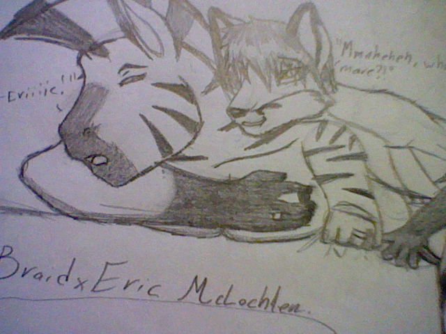 Braid the Zebra and Eric McLochlyn 2