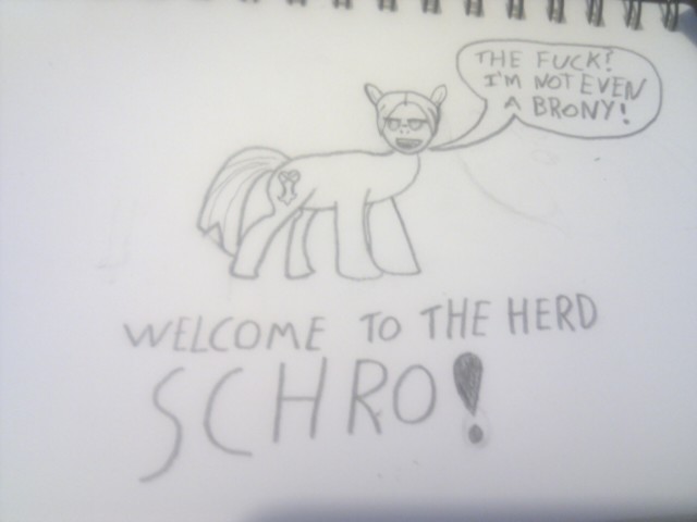 Schro MLP Style
