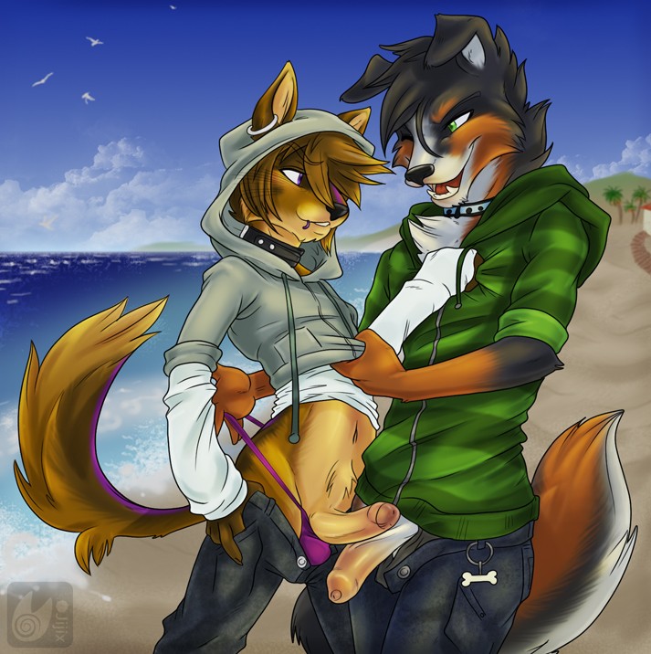 GayFurrys GayFurrys